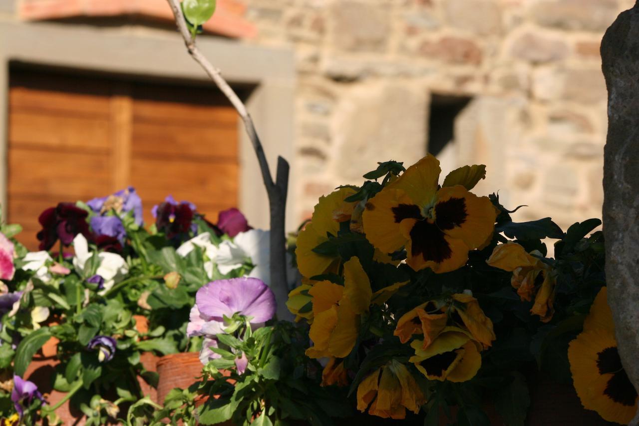 Vila Podere Pian De' Cortini Serravalle  Exteriér fotografie